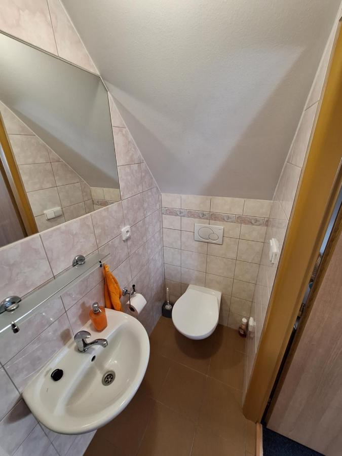 Penzion U Vorlicku Jablonné nad Orlicí Buitenkant foto