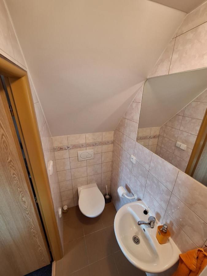 Penzion U Vorlicku Jablonné nad Orlicí Buitenkant foto